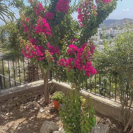 Βίλα Exclusive Luxury With Panoramic Sea View *